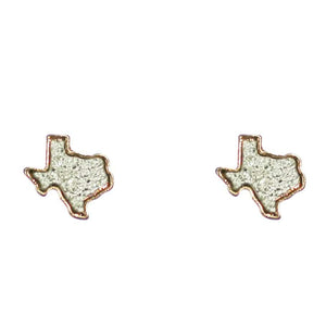 Texas Druzy Post Earrings-Silver